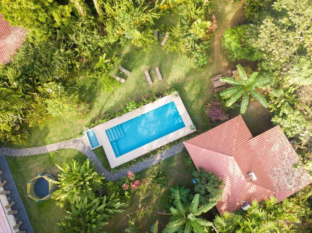Villa Pina Dorada Dependencia Del Hotel Casa Merlin Puerto Viejo de Talamanca Εξωτερικό φωτογραφία