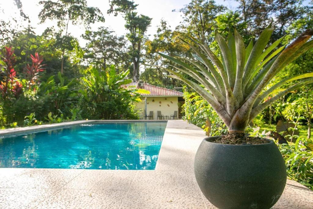 Villa Pina Dorada Dependencia Del Hotel Casa Merlin Puerto Viejo de Talamanca Εξωτερικό φωτογραφία